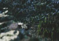 克罗地亚战术